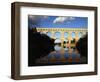 View of Pont Du Gard Bridge, Gardon River, Languedoc, France-David Barnes-Framed Photographic Print