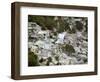 View of Port-Au-Prince, Haiti, after a Magnitude 7 Earthquake Hit the Country-null-Framed Photographic Print