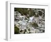 View of Port-Au-Prince, Haiti, after a Magnitude 7 Earthquake Hit the Country-null-Framed Photographic Print