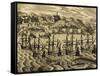 View of Port of Acapulco in Mexico-Theodore de Bry-Framed Stretched Canvas