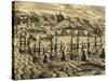 View of Port of Acapulco in Mexico-Theodore de Bry-Stretched Canvas