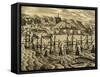 View of Port of Acapulco in Mexico-Theodore de Bry-Framed Stretched Canvas