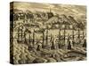 View of Port of Acapulco in Mexico-Theodore de Bry-Stretched Canvas