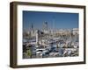 View of Port Vell Showing Columbus Monument, Barcelona, Catalonia, Spain, Europe-Adina Tovy-Framed Photographic Print