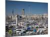 View of Port Vell Showing Columbus Monument, Barcelona, Catalonia, Spain, Europe-Adina Tovy-Mounted Photographic Print