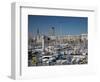 View of Port Vell Showing Columbus Monument, Barcelona, Catalonia, Spain, Europe-Adina Tovy-Framed Photographic Print