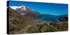 View Of Portage Glacier From Portage Pass Sc Alaska Summer-null-Stretched Canvas