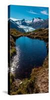 View Of Portage Glacier From Portage Pass Sc Alaska Summer-null-Stretched Canvas