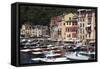 View of Portofino, Liguria, Italy, Mediterranean, Europe-Oliviero Olivieri-Framed Stretched Canvas