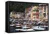 View of Portofino, Liguria, Italy, Mediterranean, Europe-Oliviero Olivieri-Framed Stretched Canvas