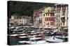 View of Portofino, Liguria, Italy, Mediterranean, Europe-Oliviero Olivieri-Stretched Canvas