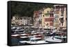 View of Portofino, Liguria, Italy, Mediterranean, Europe-Oliviero Olivieri-Framed Stretched Canvas