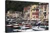 View of Portofino, Liguria, Italy, Mediterranean, Europe-Oliviero Olivieri-Stretched Canvas