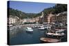 View of Portofino, Liguria, Italy, Mediterranean, Europe-Oliviero Olivieri-Stretched Canvas