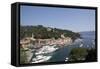 View of Portofino, Liguria, Italy, Mediterranean, Europe-Oliviero Olivieri-Framed Stretched Canvas