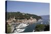 View of Portofino, Liguria, Italy, Mediterranean, Europe-Oliviero Olivieri-Stretched Canvas