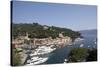 View of Portofino, Liguria, Italy, Mediterranean, Europe-Oliviero Olivieri-Stretched Canvas