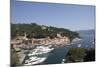 View of Portofino, Liguria, Italy, Mediterranean, Europe-Oliviero Olivieri-Mounted Photographic Print