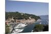 View of Portofino, Liguria, Italy, Mediterranean, Europe-Oliviero Olivieri-Mounted Photographic Print