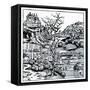 View of Portugal from the 'Nuremberg Chronicle' 1493-null-Framed Stretched Canvas