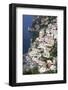 View of Positano-Oliviero Olivieri-Framed Photographic Print