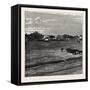 View of Potchefstrom, in the Transvaal, South Africa-null-Framed Stretched Canvas