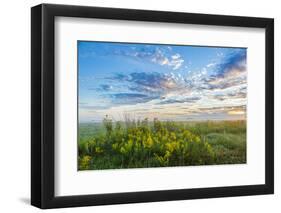 View of prairie, Prairie Ridge State Natural Area, Marion Co., Illinois, USA-Panoramic Images-Framed Photographic Print