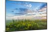 View of prairie, Prairie Ridge State Natural Area, Marion Co., Illinois, USA-Panoramic Images-Mounted Photographic Print