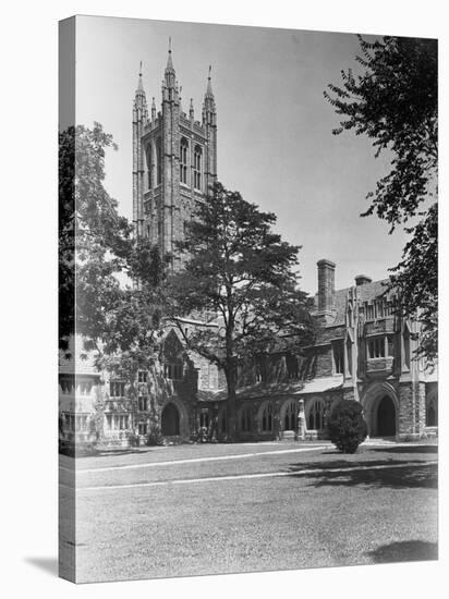 View of Princeton University, Madison Hall-Philip Gendreau-Stretched Canvas