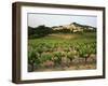View of Provence Vineyard, Luberon, Bonnieux, Vaucluse, France-David Barnes-Framed Premium Photographic Print