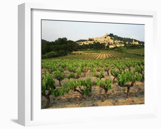 View of Provence Vineyard, Luberon, Bonnieux, Vaucluse, France-David Barnes-Framed Premium Photographic Print