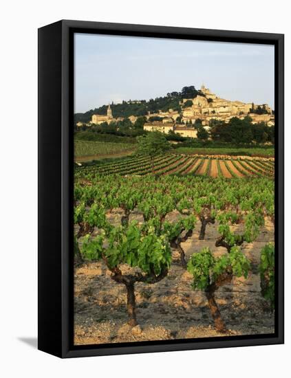 View of Provence Vineyard, Luberon, Bonnieux, Vaucluse, France-David Barnes-Framed Stretched Canvas