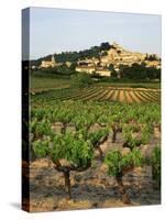 View of Provence Vineyard, Luberon, Bonnieux, Vaucluse, France-David Barnes-Stretched Canvas