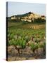 View of Provence Vineyard, Luberon, Bonnieux, Vaucluse, France-David Barnes-Stretched Canvas