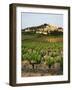 View of Provence Vineyard, Luberon, Bonnieux, Vaucluse, France-David Barnes-Framed Photographic Print