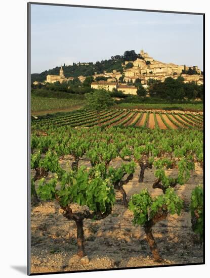 View of Provence Vineyard, Luberon, Bonnieux, Vaucluse, France-David Barnes-Mounted Photographic Print