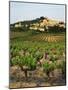 View of Provence Vineyard, Luberon, Bonnieux, Vaucluse, France-David Barnes-Mounted Photographic Print