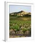 View of Provence Vineyard, Luberon, Bonnieux, Vaucluse, France-David Barnes-Framed Photographic Print