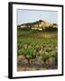 View of Provence Vineyard, Luberon, Bonnieux, Vaucluse, France-David Barnes-Framed Photographic Print