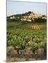 View of Provence Vineyard, Luberon, Bonnieux, Vaucluse, France-David Barnes-Mounted Photographic Print