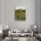 View of Provence Vineyard, Luberon, Bonnieux, Vaucluse, France-David Barnes-Photographic Print displayed on a wall