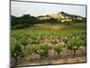 View of Provence Vineyard, Luberon, Bonnieux, Vaucluse, France-David Barnes-Mounted Photographic Print