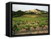 View of Provence Vineyard, Luberon, Bonnieux, Vaucluse, France-David Barnes-Framed Stretched Canvas