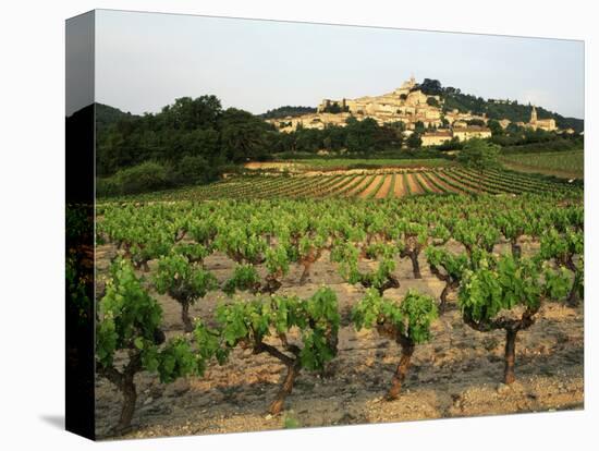 View of Provence Vineyard, Luberon, Bonnieux, Vaucluse, France-David Barnes-Stretched Canvas