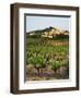 View of Provence Vineyard, Luberon, Bonnieux, Vaucluse, France-David Barnes-Framed Photographic Print