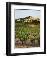 View of Provence Vineyard, Luberon, Bonnieux, Vaucluse, France-David Barnes-Framed Photographic Print
