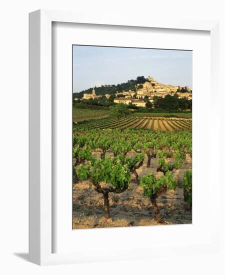 View of Provence Vineyard, Luberon, Bonnieux, Vaucluse, France-David Barnes-Framed Photographic Print