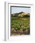 View of Provence Vineyard, Luberon, Bonnieux, Vaucluse, France-David Barnes-Framed Photographic Print