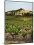 View of Provence Vineyard, Luberon, Bonnieux, Vaucluse, France-David Barnes-Mounted Photographic Print