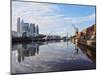 View of Puerto Madero, City of Buenos Aires, Buenos Aires Province, Argentina, South America-Karol Kozlowski-Mounted Photographic Print